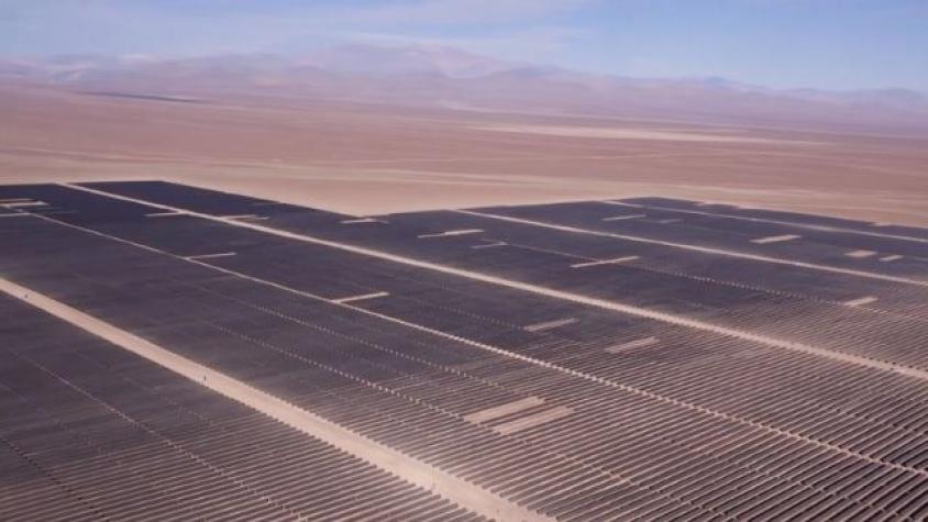 El bonito encuentro con la gatita Turrona