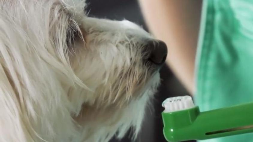 Conversando de la gran cantidad de los postes