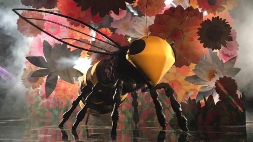 Lo alucinante de la tienda Neighborhood 