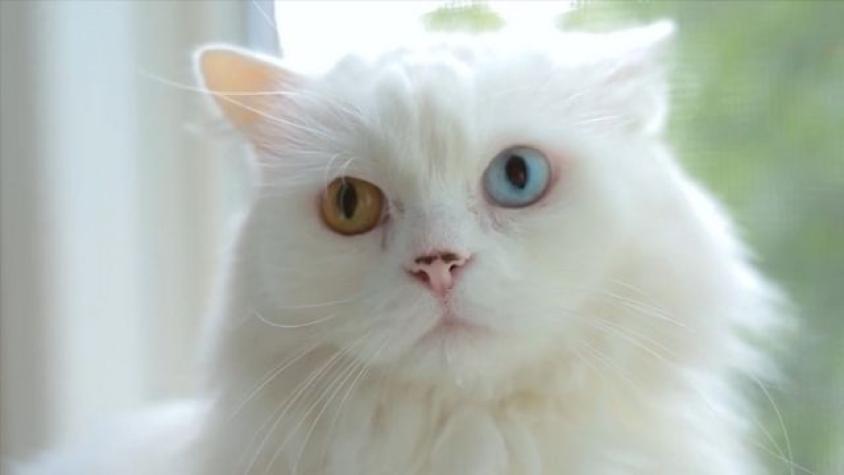 Aprendiendo de cervezas en Kunstmann Craft Bar