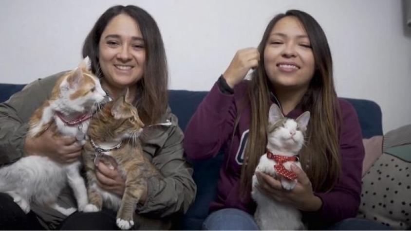 Lo bueno y lo malo de los planes de urbanismo en Vitacura