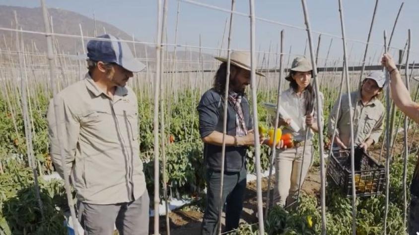 Las imperdibles obras del Museo Ralli Santiago 