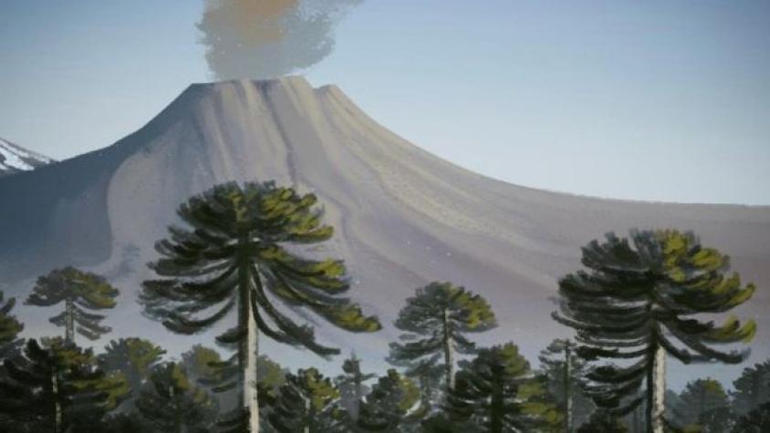 Aunque no lo creas, ocurrieron: Aquí te contamos sobre los incendios forestales que afectaron la Antártida