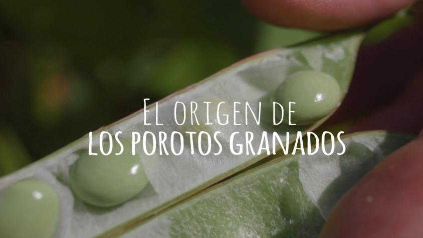 Porotos granados: Un clásico de la comida chilena que ahora puedes comer todo el año