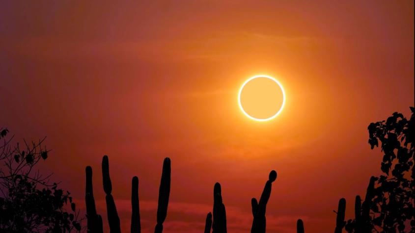 Eclipse solar anular