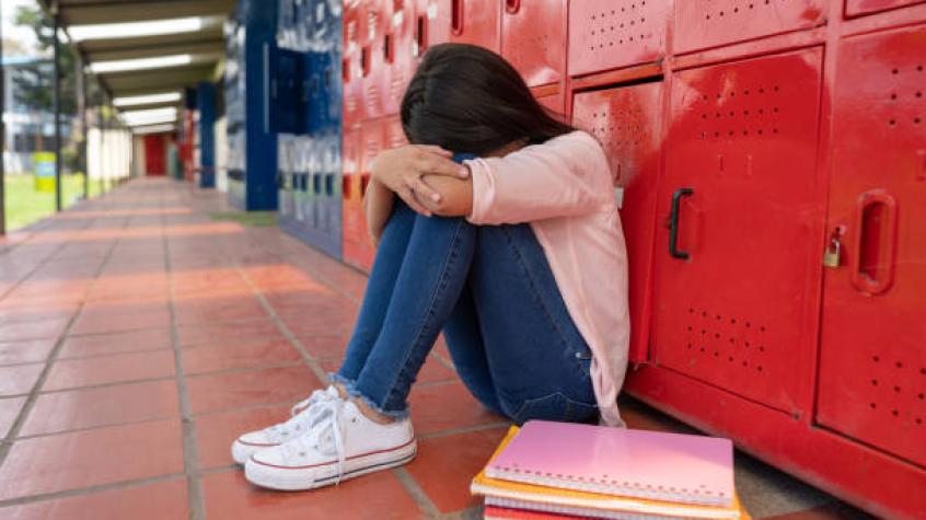 Científicos descubren cómo el bullying daña el cerebro de niños y adolescentes 