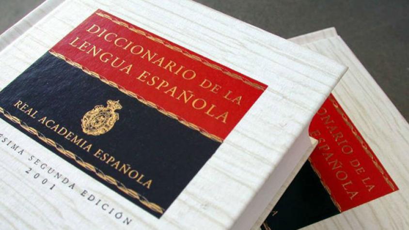 Este es el chilenismo que según un experto debería reconocer la RAE