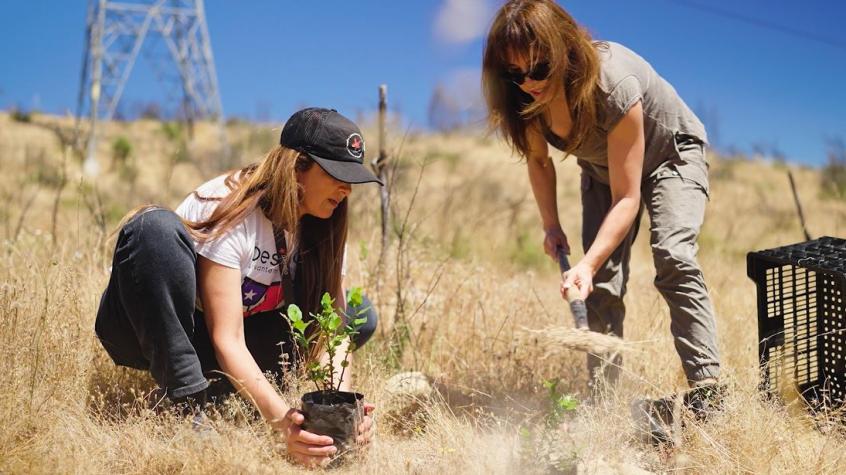 Con apoyo de Acciona y Desafío Levantemos Chile: Así se ha recuperado el Jardín Botánico Nacional de Viña del Mar