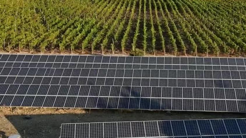 Viña Pérez Cruz: Descubre sus viñedos sustentables con energía solar
