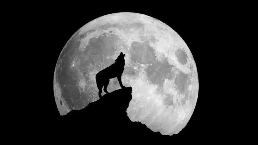 Primera luna llena de 2025: cuándo ver la "Luna del Lobo" y por qué se llama así