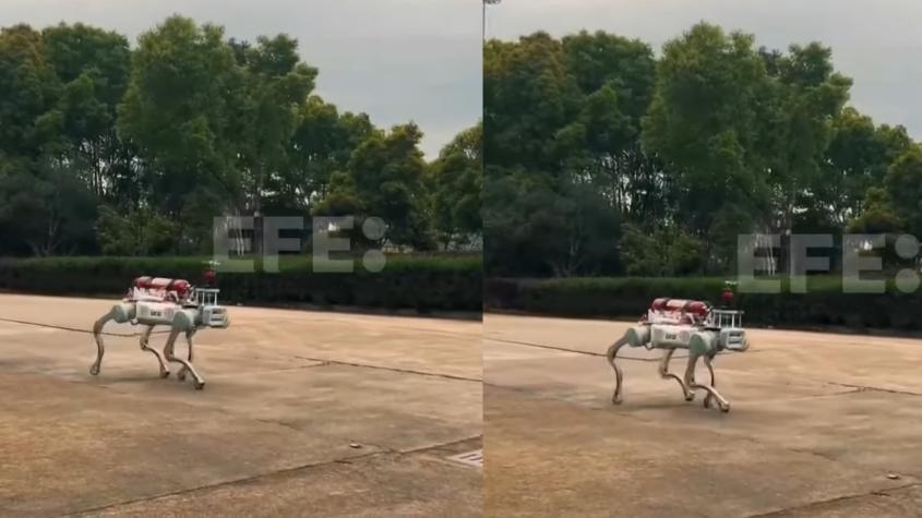 China incorpora "perro robot" a su equipo de bomberos para combatir los incendios