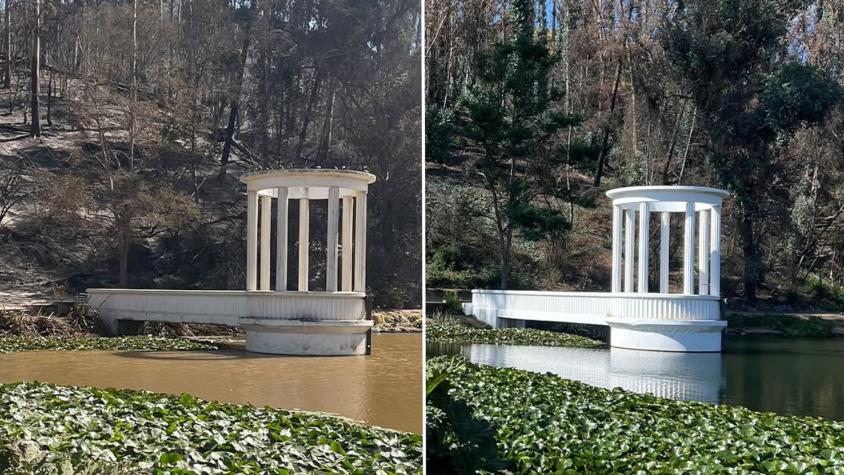 A un año del incendio que afectó a la Región de Valparaíso: Jardín botánico de Viña del Mar muestra su recuperación