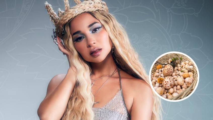 Digüeñe: El hongo chileno que inspiró el vestido que lucirá Princesa Alba en la Gala de Viña 2025