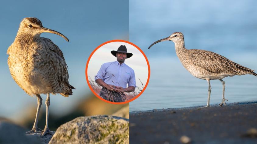 Líder mundial de conservación visita Chile para impulsar la recuperación del humedal en Concepción 