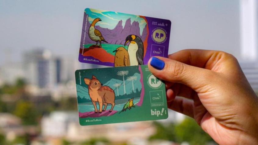 Tarjeta BIP! del Pudú y Pingüino vuelven a Metro de Santiago: cómo y dónde conseguirlas 