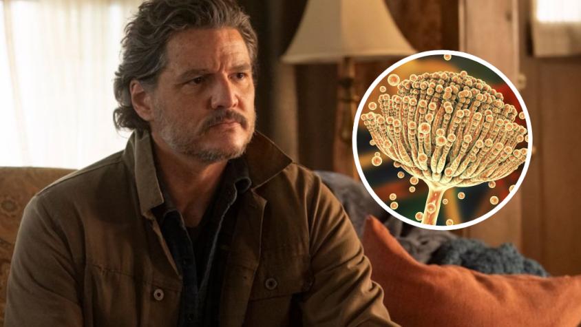 hongo podría expandirse como en The Last of Us