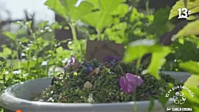 Ensalada de perejil con menta y albahaca: receta fácil y saludable de Vive Sustentable