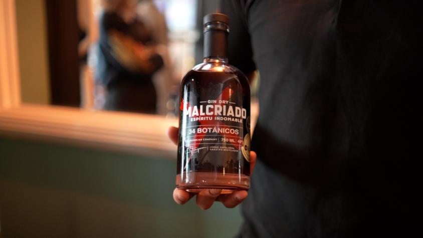 GIN MALCRIADO