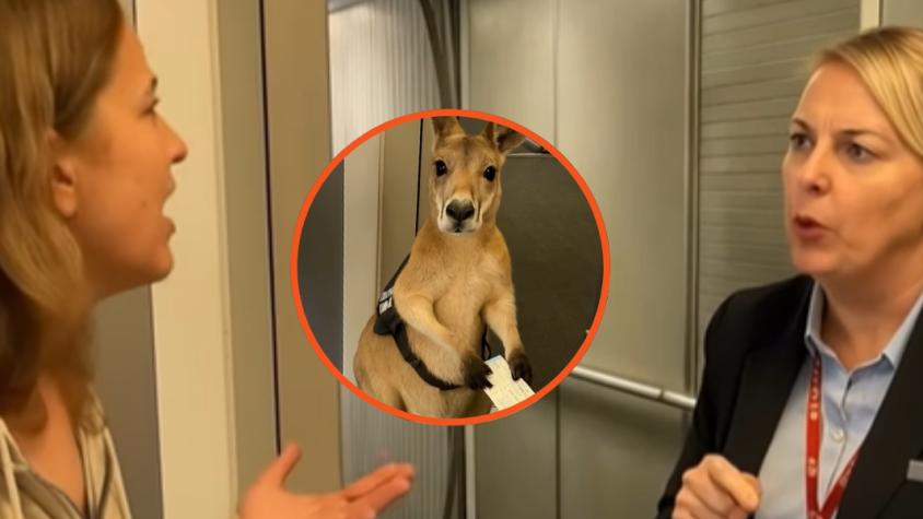 El canguro en el aeropuerto: Esta es la verdad detrás del viral que se tomó las redes sociales 