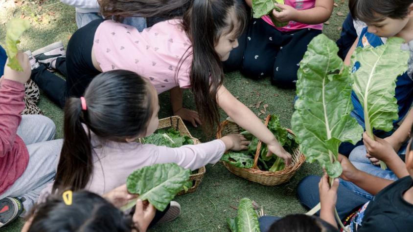 “Huerto Mágico” en La Pintana: Educación inicial que cultiva el aprendizaje en niños y niñas 