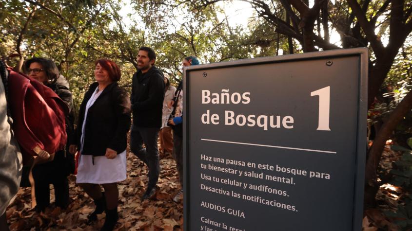 Baños de bosque UC