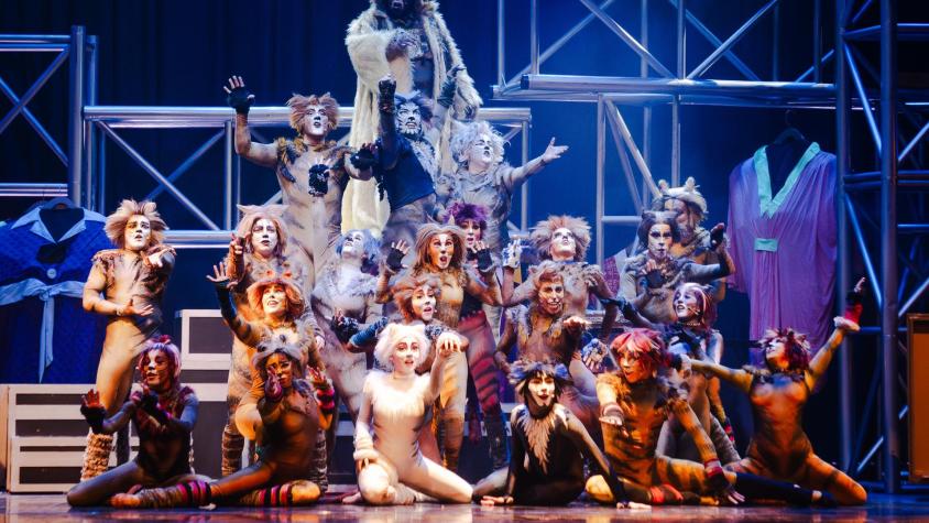 CATS: El musical más icónico del mundo llega a Chile.