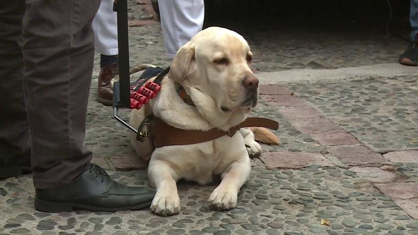 Marcelo Comparini y Federico Sánchez visitaron una Escuela de Perros Guía para personas con discapacidad visual