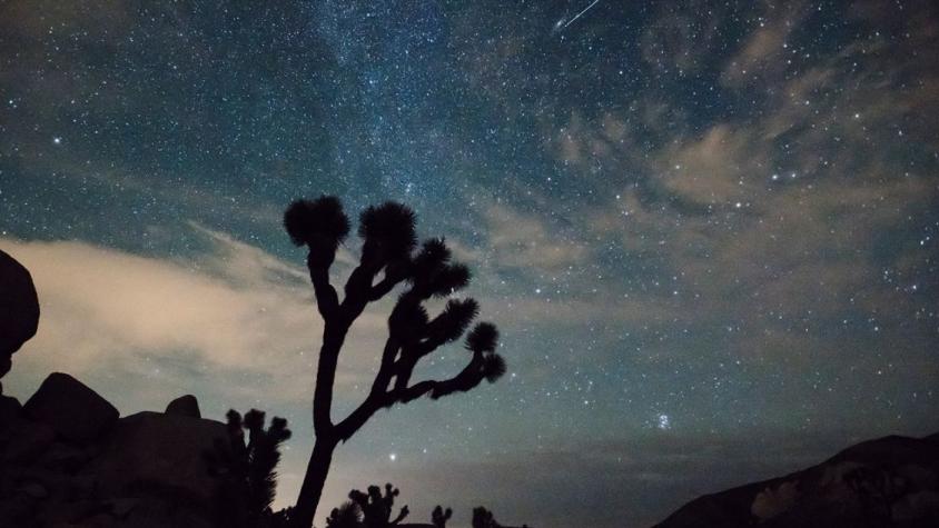 Lluvia de estrellas Leónidas 2025: cuándo y cómo verla desde Chile, según astrónoma 
