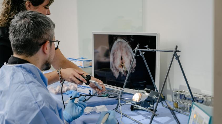 39° Congreso Panamericano de Otorrinolaringología