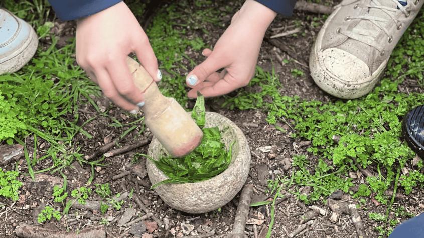 Estos son los talleres de Escuelita Esclerófila de Altos de Cantillana