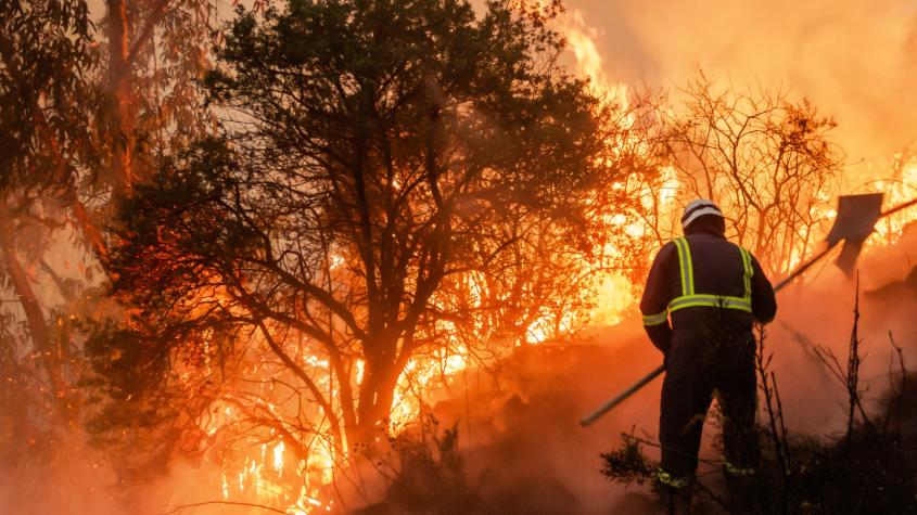5 recomendaciones para proteger la salud frente a la toxicidad del humo de incendios