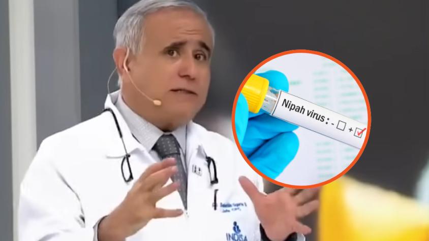 Doctor Ugarte explica virus Nipah. Créditos: Canal 13
