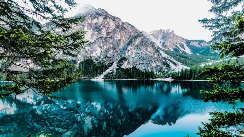 Día de la naturaleza. Créditos: Pexels 