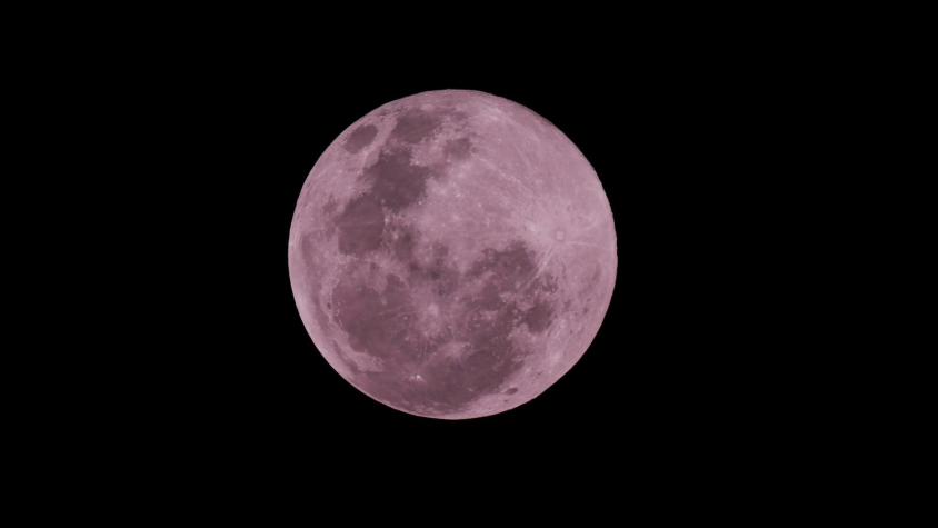 Luna Rosa. Créditos: Pexels. 