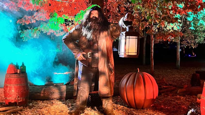 Harry Potter: La experiencia del Bosque prohibido