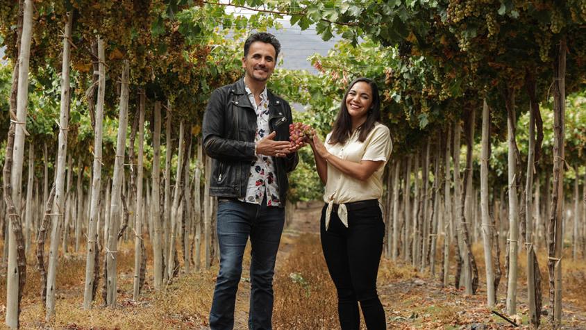 ¡Celebra el Día Nacional del Pisco en 13C junto a Sergio Lagos!