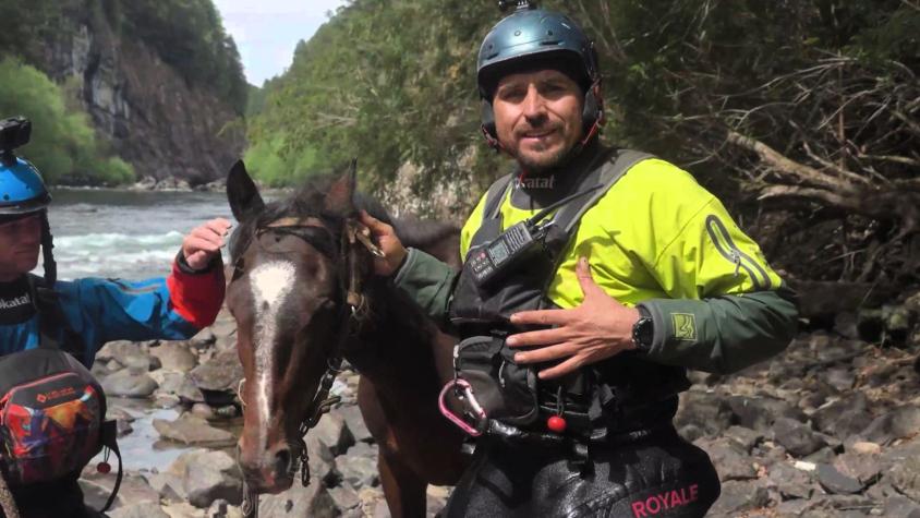 "Se me apretó el corazón": Pangal Andrade relata el rescate de un caballo en la Patagonia