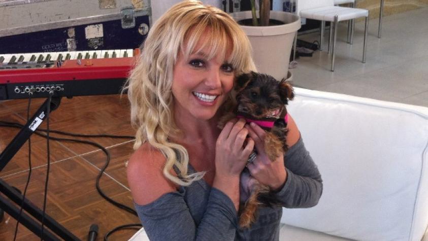 Britney Spears lanzó colección de lencería y es criticada por abuso de Photoshop