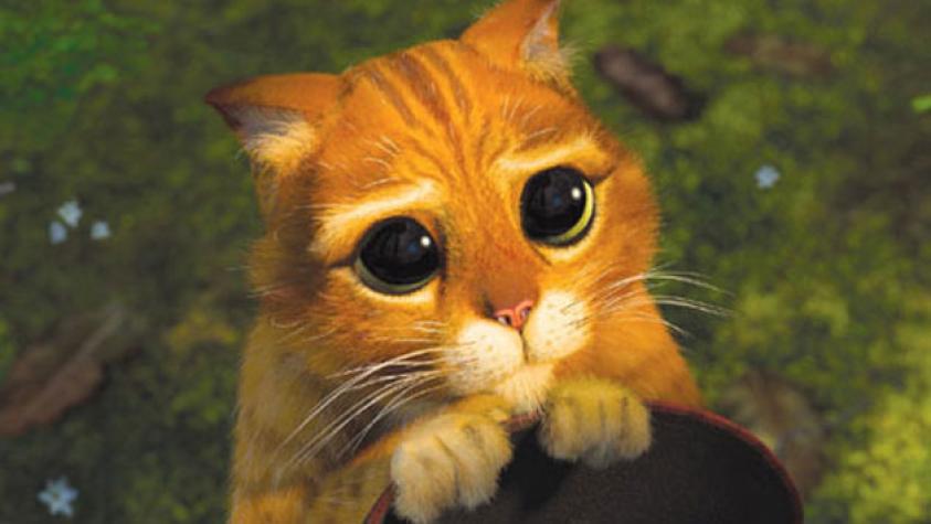 ¡No podrás resistirte a ver las “tardes de Shrek”!