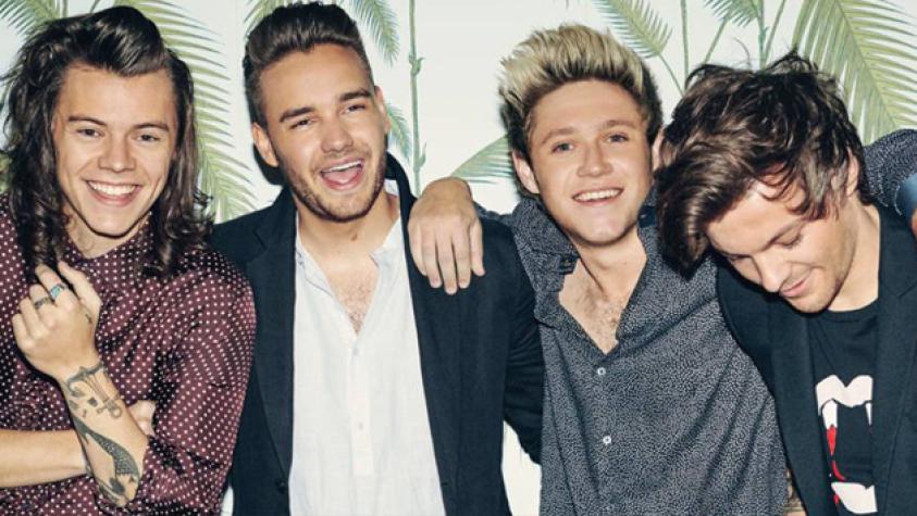 One Direction y su futuro en el año sabático