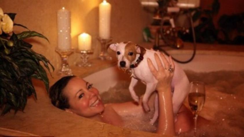 Estas seis mascotas de famosos viven mejor que todos nosotros