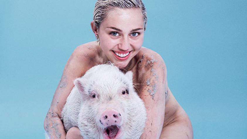 Las mascotas de Miley Cyrus la cuidan mientras se recupera de amigdalitis