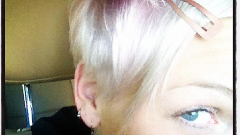 Pink volvió a ser pink y anunció su regreso a la música
