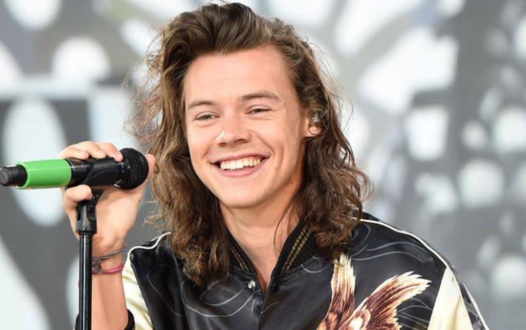 Destapan desconocido romance entre Harry Styles y una azafata