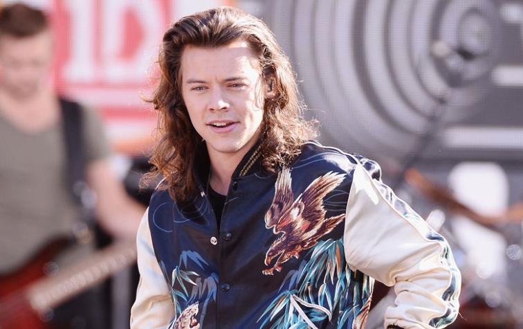 Harry Styles por fin mostró los resultados de su corte de pelo