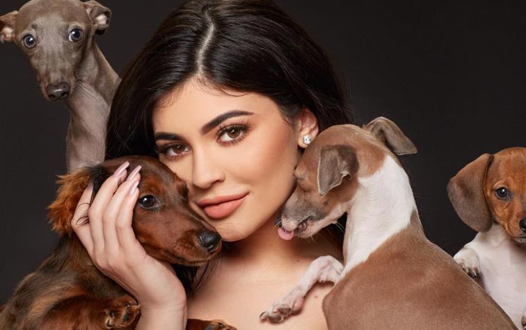 ¿Kylie Jenner opacó la portada de su hermana en Vogue?