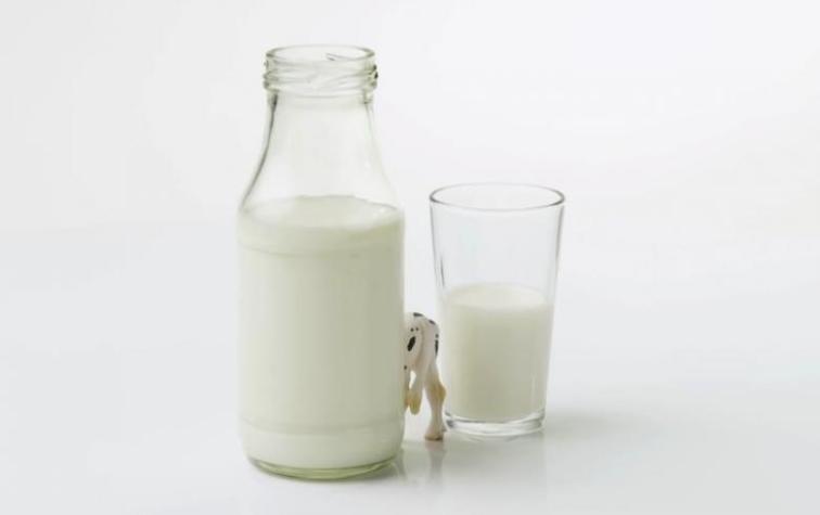 Las contradicciones del consumo excesivo de leche de vaca 