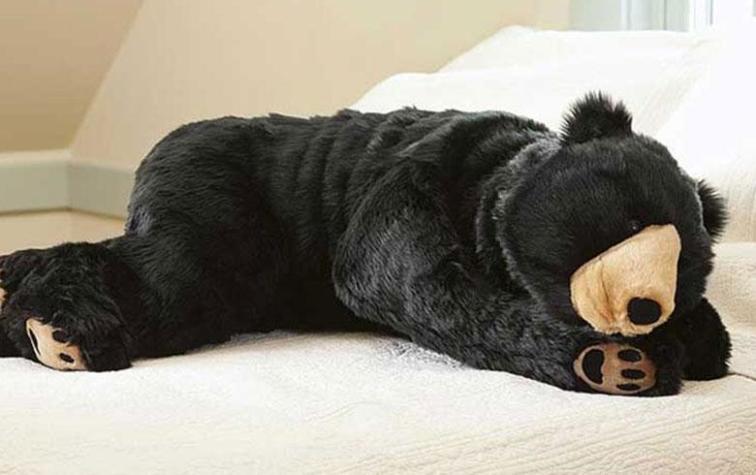 Este saco de dormir con forma de oso es perfecto para este frío otoño 