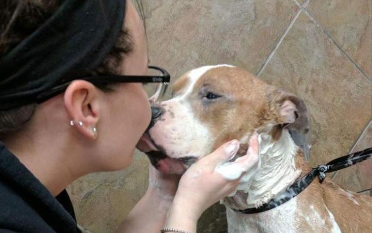 Una joven adoptó a un perro y él no para de demostrarle su amor 