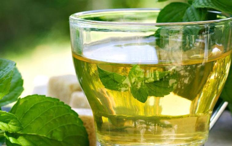 Los beneficios del té verde y cómo sacar su mayor provecho 